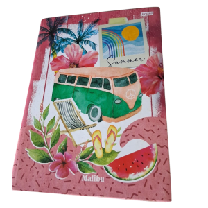 Caderno Brochurao Rosa Capa Dura 20 x 27.5 x 1 cm Colorido   96 Folhas