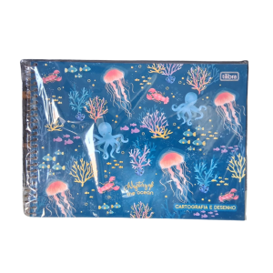 Caderno De Cartografia E Desenho Capa Dura 31 x 22 x 2 cm Oceano   Escala Milimétrica/  80 Folhas