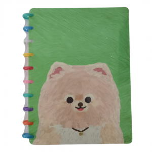 Caderno De Disco Feminino Capa Flexivel 15 x 20 x 1 cm Verde   