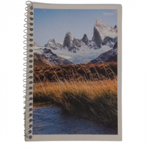 Caderno Espiral Capa Flexivel 14 x 20 x 1 cm Colorido   48 Folhas